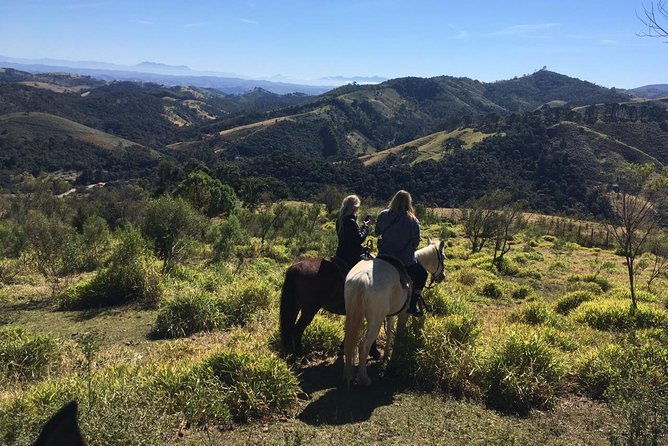 exclusive-horse-experience-with-pic-nic-at-belvedere