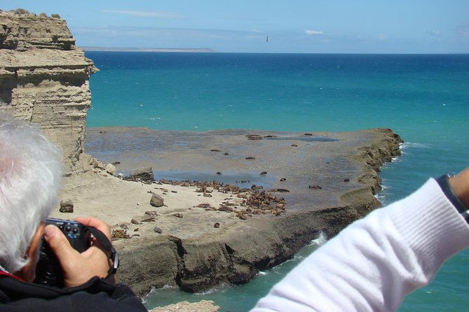exclusive-peninsula-valdes-nature-wildlife-for-cruise-guests