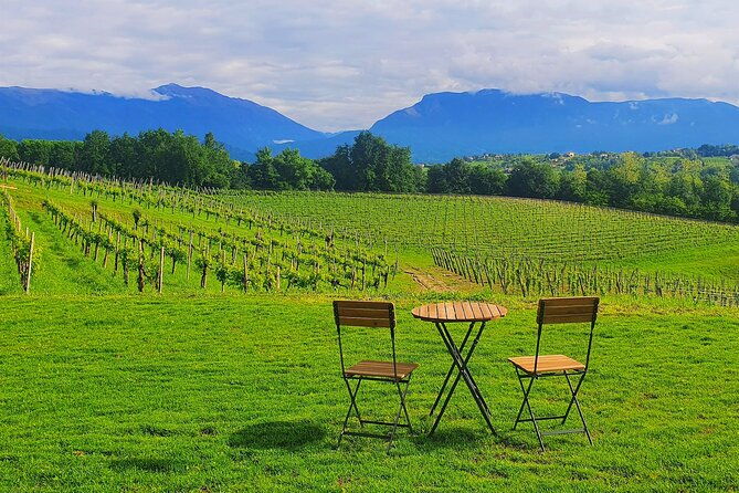 exclusive-tour-of-the-vineyards-with-visit-to-the-cellar-2