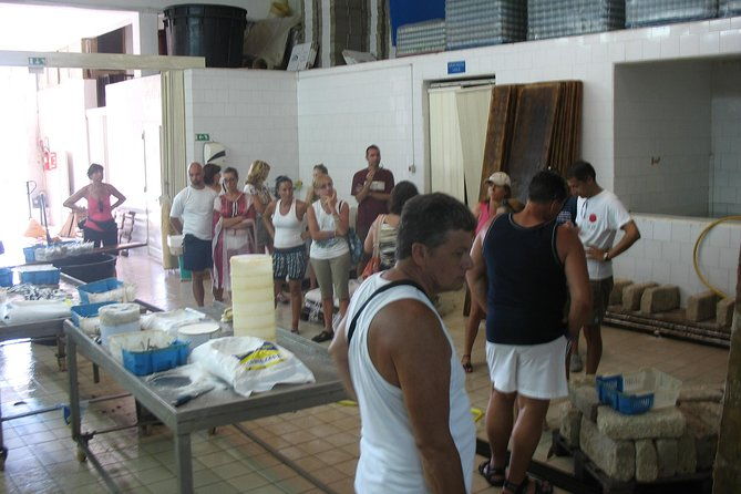 excursion-marzamemi-and-capo-passero-by-boat