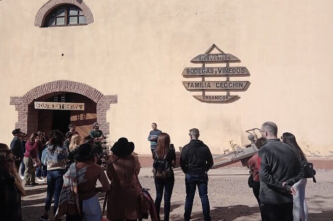 excursion-of-3-wineries-and-1-olive-oil-mill-with-tasting