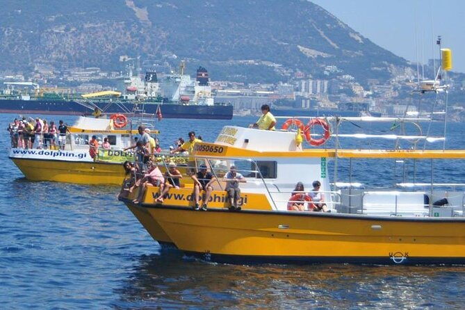 excursion-to-gibraltar-with-dolphin-watching-from-malaga