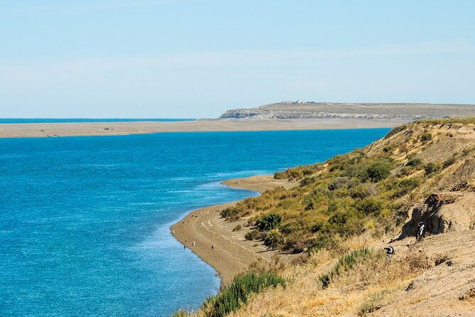 excursion-to-the-valdes-peninsula-from-puerto-madryn