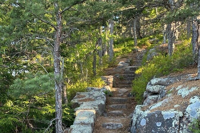 experience-acadia-private-3-hr-tour-with-local-guide
