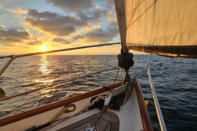 experience-oceanside-sailing-with-whales-and-dolphins
