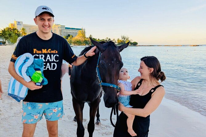 experience-the-swimming-horses-at-carlisle-bay-the-garrison