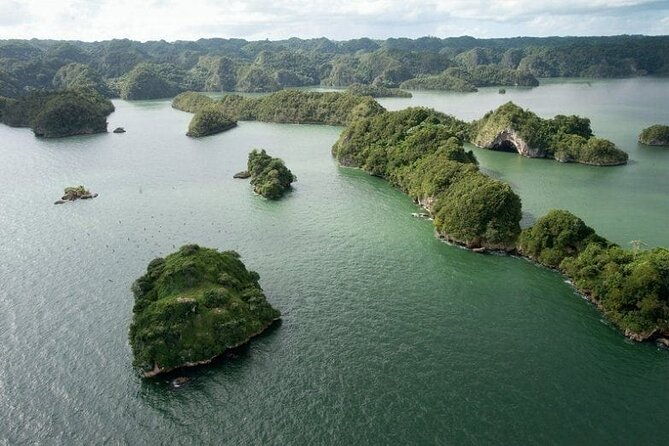 exploration-of-mangroves-and-wildlife-los-haitises