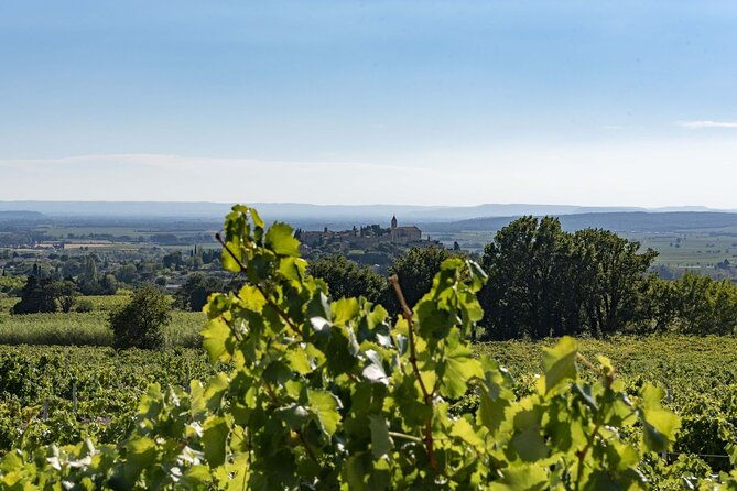 exploration-visit-of-the-estate-the-cellars-tasting-2