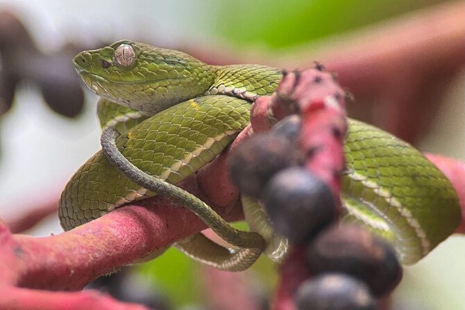 explore-and-learn-on-a-tour-of-the-magic-monteverde-cloud-forest