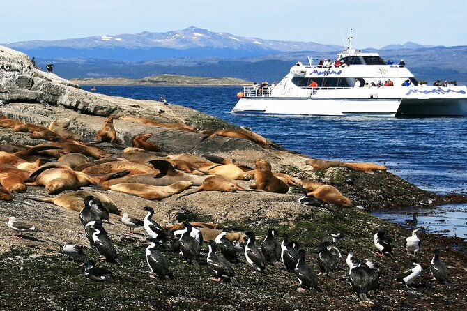 explore-beagle-channel-and-sea-lions-island-on-a-catamaran-cruise