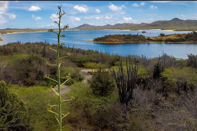 explore-bonaire-north-south-tour