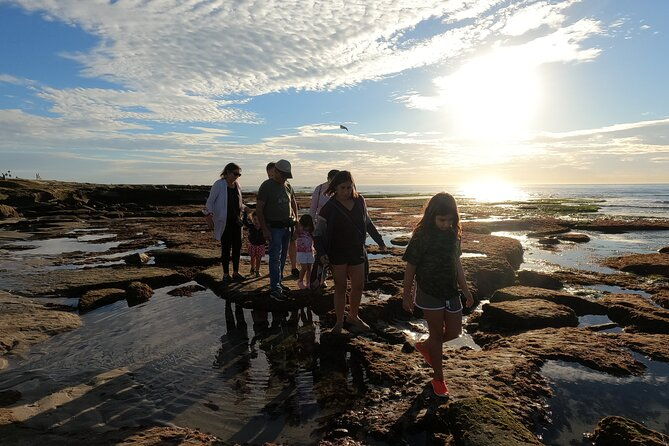 explore-san-diego-tide-pools-with-a-marine-biologist