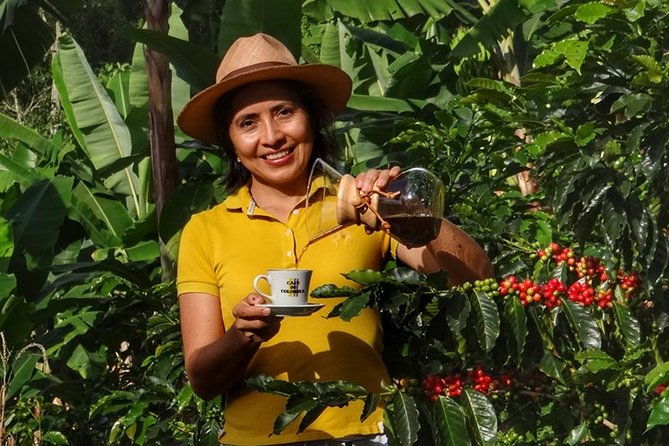 explore-the-coffee-process_from-tree-to-cup-fun-by-jeep