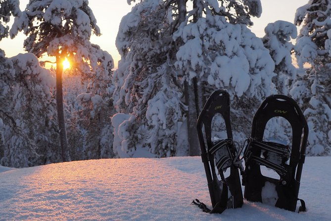 explore-winter-woods-snowshoe-walk-with-local-biologist