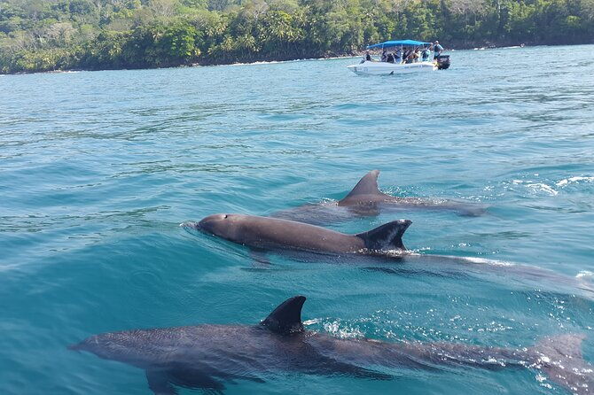 family-package-private-fishing-and-snorkeling