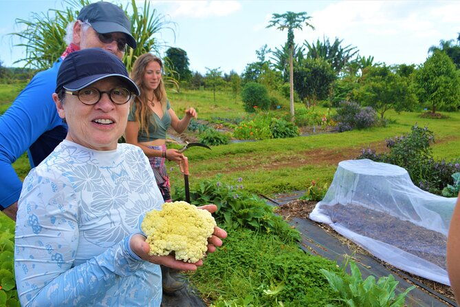 farm-to-table-cooking-class-at-kulaniapia-falls