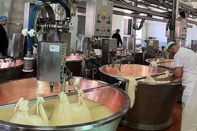 ferrari-parmesan-and-balsamic-day-tour-from-bologna