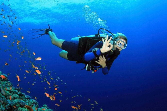 fethiye-scuba-diving-experience-by-a-local-expert