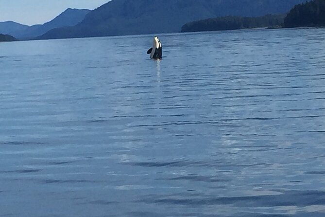 fishing-whale-watching-hoonah-alaska