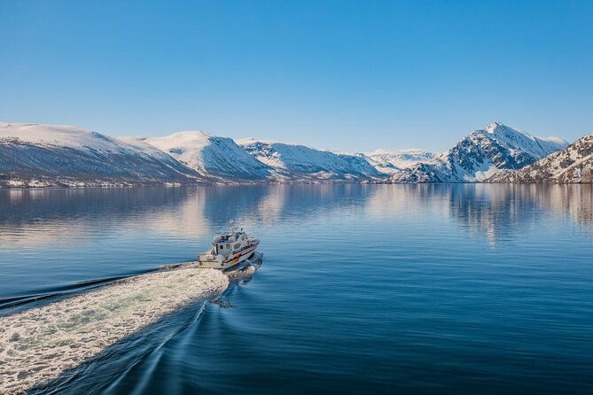 fjord-safari-in-the-altafjord