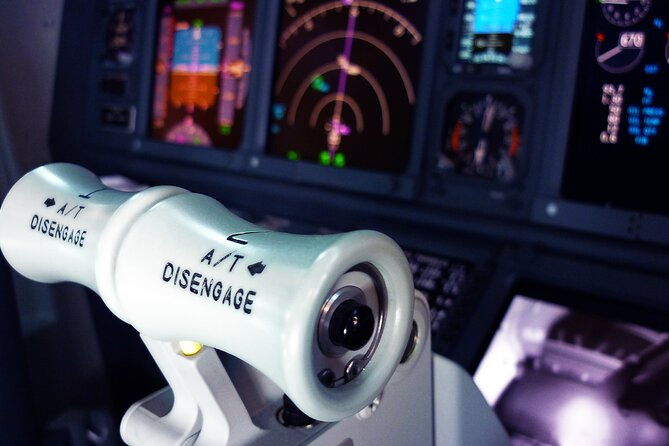 flight-simulator-hi-speed-for-30-mins