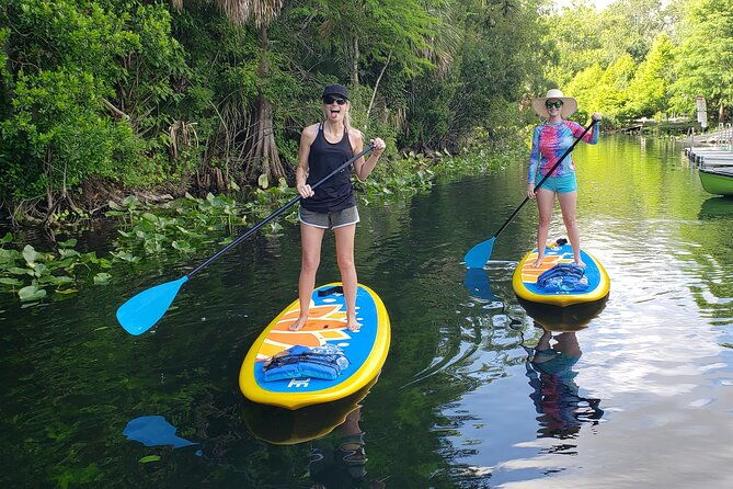 florida-freshwater-springs-paddle-board-tour