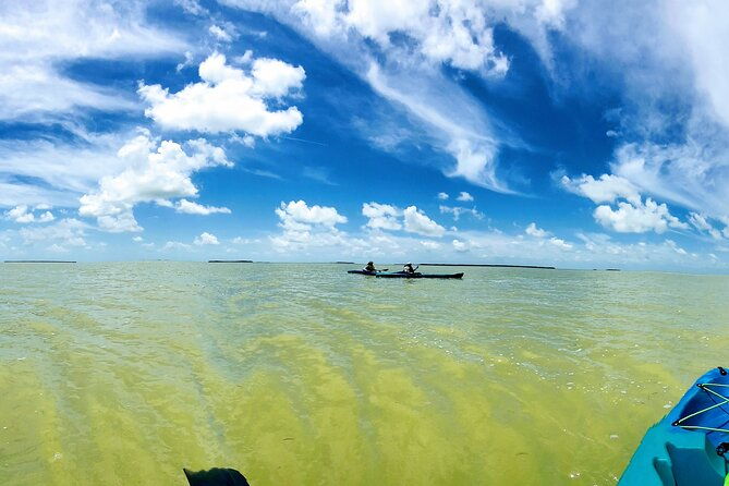 florida-keys-eco-tour-snorkel-kayak-lunch-transportation-2