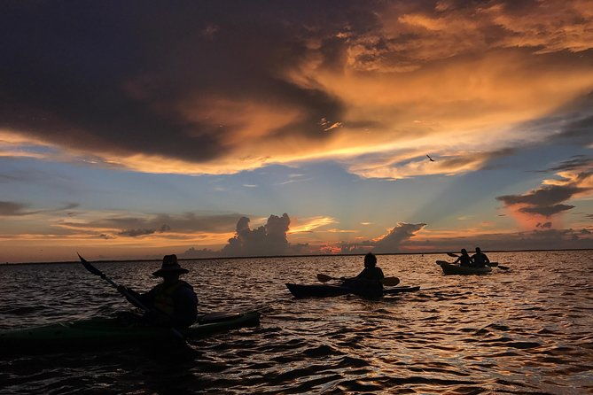 florida-sunset-and-bioluminescence-package-2