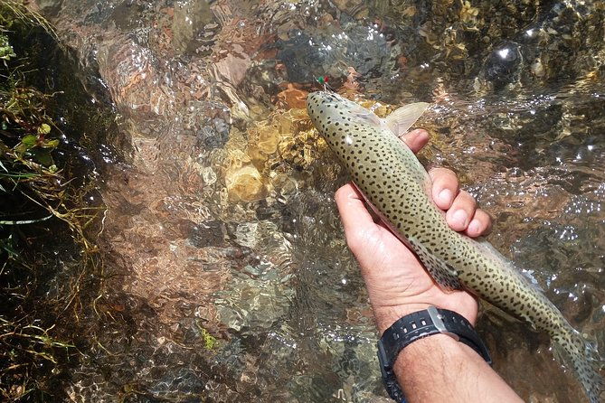 fly-fishing-on-private-andean-river-including-barbecue-lunch