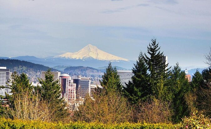 forest-park-urban-hiking-tour-portland