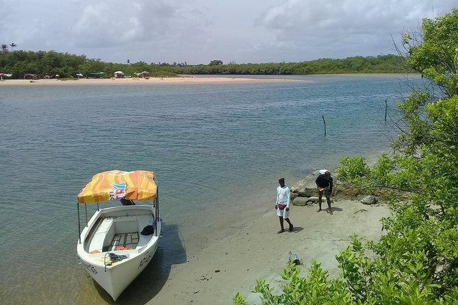 fort-beach-tour-and-tamar-project