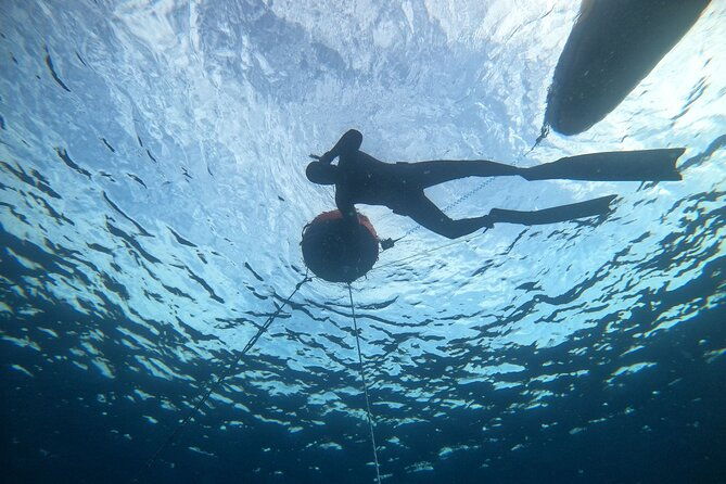 freediving-at-museum-atlantico