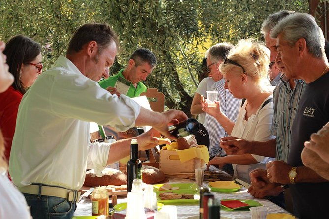 from-abano-montegrotto-olive-oil-wine-in-the-euganean-hills