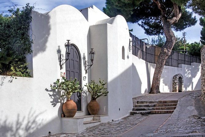 from-amalfi-coast-capri-anacapri-guided-tour-by-sea-by-land