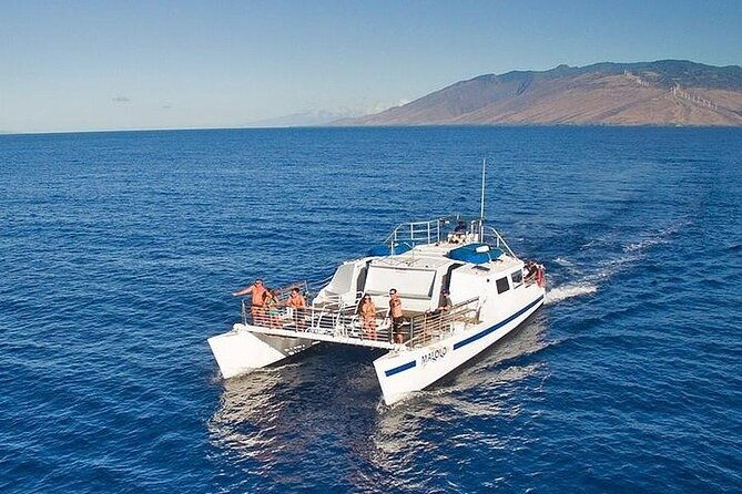 from-maalaea-harbor-sunset-whale-watch-tour-aboard-the-malolo