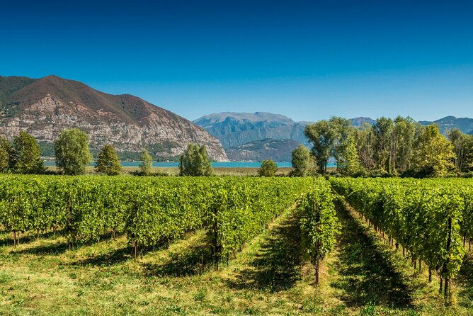 from-milan-full-day-in-franciacorta-2-wineries-and-lunch
