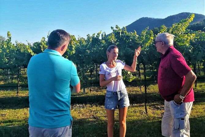 from-padua-wine-tour-in-the-euganean-hills-2