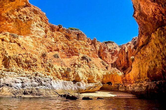 from-portimao-to-paradise-90-min-tour-3