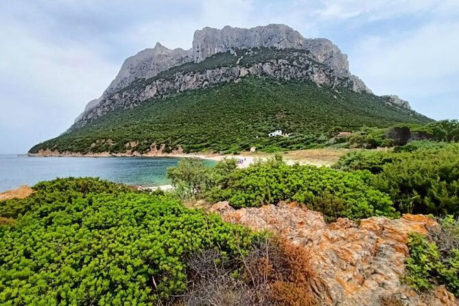 from-san-teodoro-mini-tour-of-the-tavolara-archipelago-2