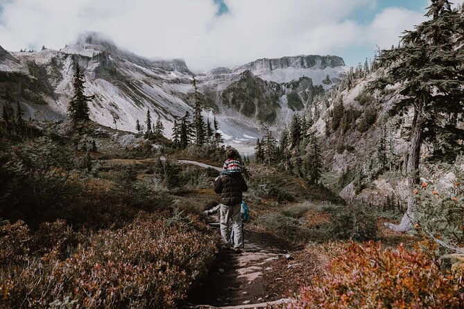 from-seattle-enchanting-mt-baker-and-cascades-tour-in-suv