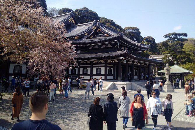 from-tokyo-kamakura-and-enoshima-private-day-tour