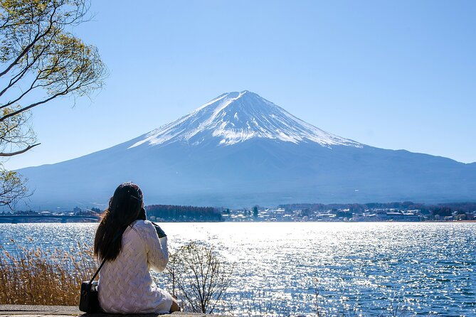 from-tokyo-mount-fuji-kamakura-lake-ashi-and-oshino-hakkai