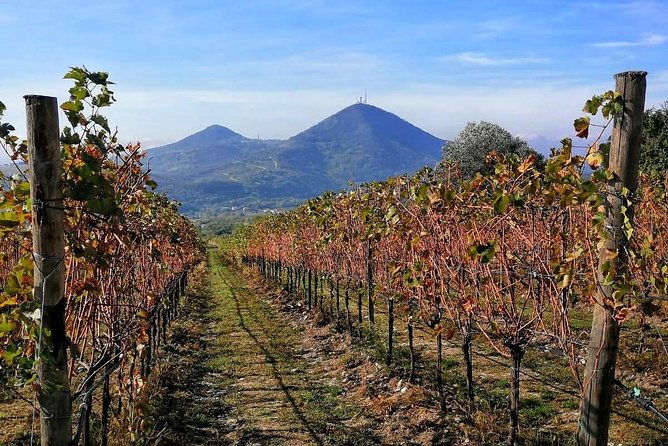 from-venice-wine-tour-in-the-euganean-hills