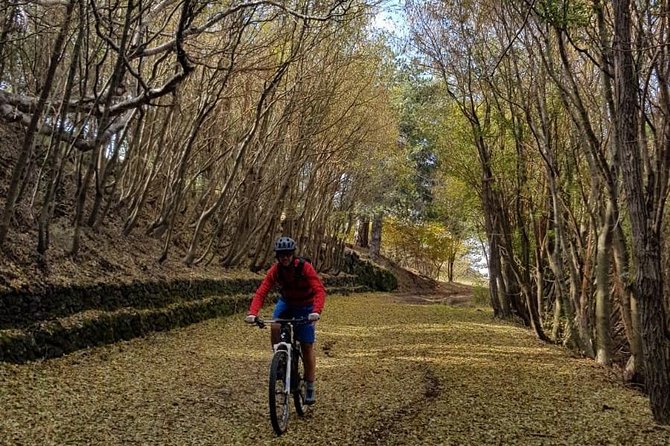 full-circuit-of-etna-by-mtb-small-group