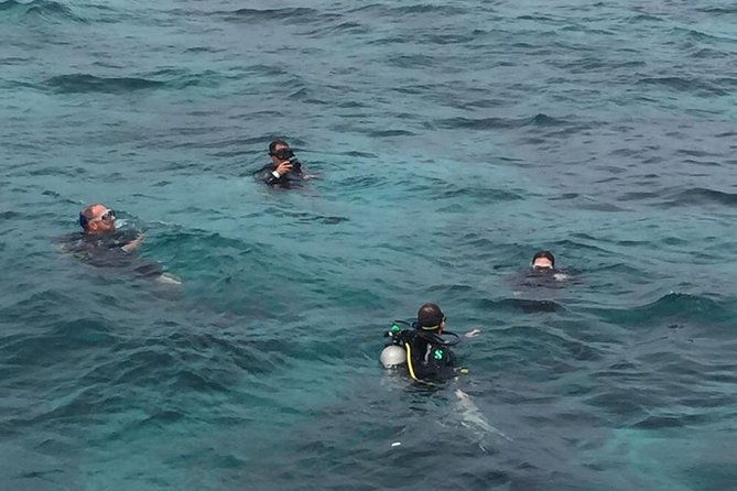 full-day-at-catalina-island-from-santo-domingo-with-optional-snorkeling-included