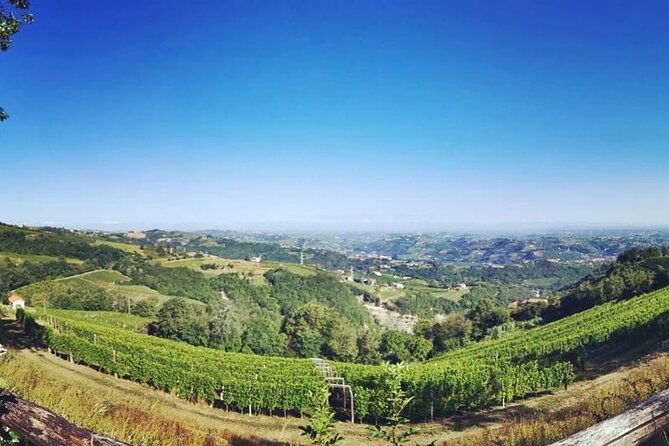 full-day-barolobarbaresco-wine-tour-from-milano-with-a-local-winemaker-2