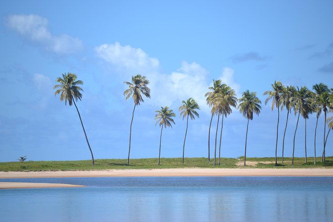 full-day-beach-hopping-tour-from-salvador-to-praia-do-forte