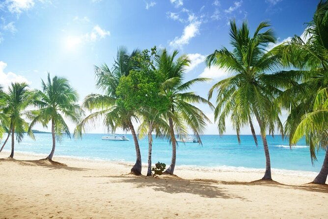 full-day-caribbean-catalina-island-with-snorkeling