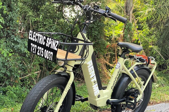 full-day-electric-bike-rental-in-st-petersburg-florida
