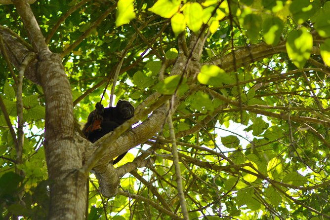 full-day-forest-and-the-fisherman-trail-from-guayaquil